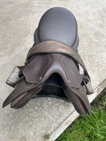 Sella mista Wintec  17" - 2019