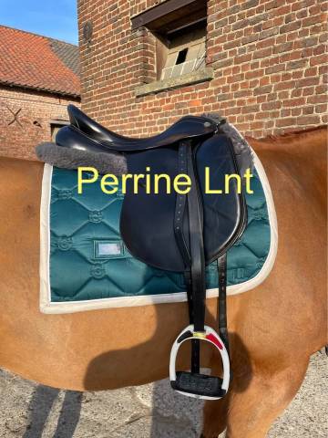 Sella da dressage Prestige Italia  17" - 2014