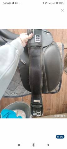 Sella da dressage Wintec 250 dressage  17" - 2017
