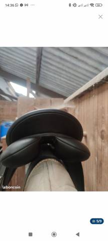 Sella da dressage Wintec 250 dressage  17" - 2017