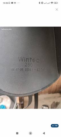 Sella da dressage Wintec 250 dressage  17" - 2017
