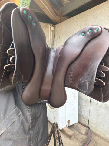 Sella da salto ostacoli Equipe  17.5" - 2022