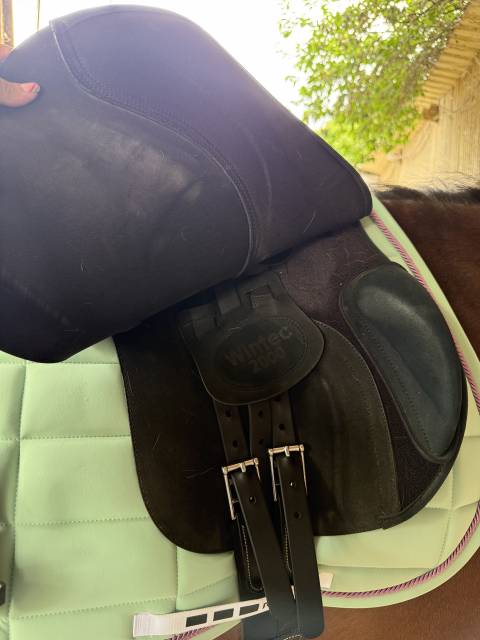 Sella mista Wintec  18" - 2022