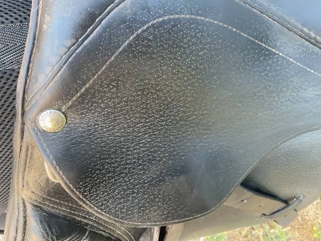 Altra sella Forestier Mixte 17" - 2005