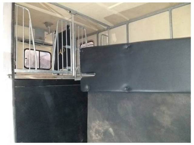 Van per Cavalli Renault Master 2006 Occasione
