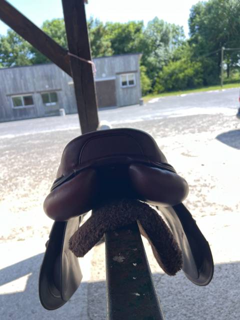 Sella da salto ostacoli CWD  17" - 2020