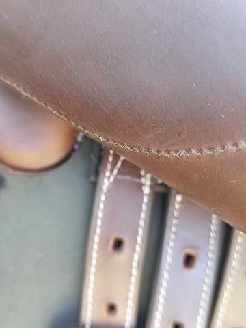 Sella da salto ostacoli  EKUS F5 17.5" - 2025