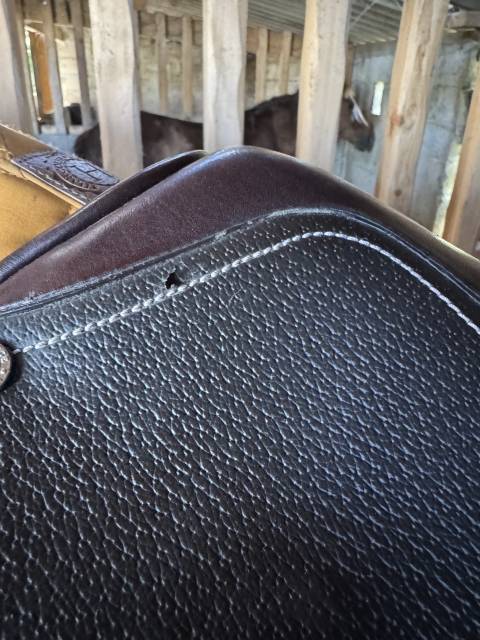 Sella mista Privilège Equitation  17.5" - 2020