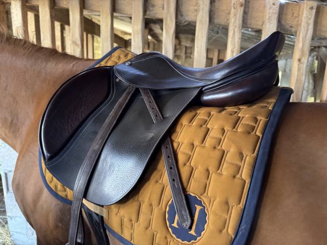 Sella mista Privil&egrave;ge Equitation  17.5" - 2020