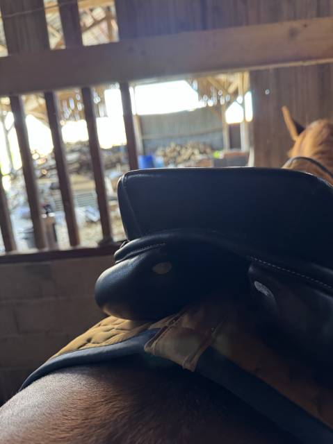 Sella mista Privil&egrave;ge Equitation  17.5" - 2020