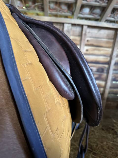 Sella mista Privil&egrave;ge Equitation  17.5" - 2020