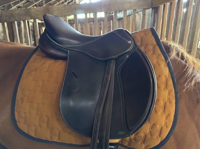 Sella mista Privil&egrave;ge Equitation  17.5" - 2020