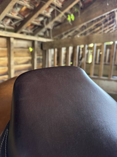 Sella mista Privil&egrave;ge Equitation  17.5" - 2020