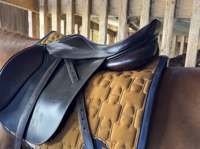 Sella mista Privil&egrave;ge Equitation  17.5" - 2020