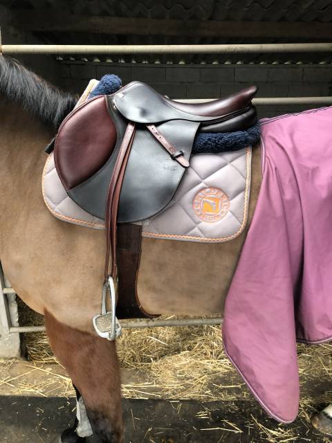 Sella da salto ostacoli CWD  18" - 2019