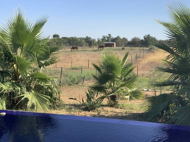 Proprietà equestre In vendita 