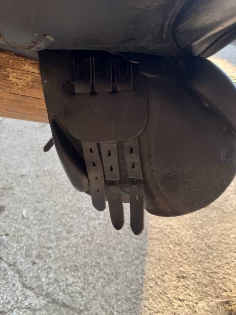 Sella da salto ostacoli Tattini  17" - 2019