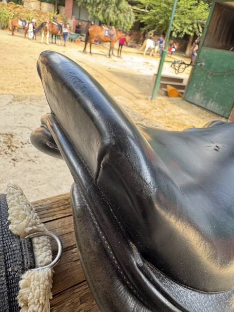 Sella da salto ostacoli Tattini  17" - 2019