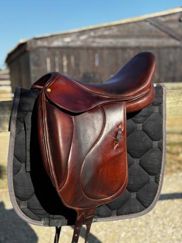 Sella da dressage Belloir Saumur 17.5" - 2018