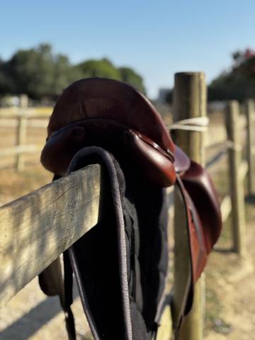 Sella da dressage Belloir Saumur 17.5" - 2018