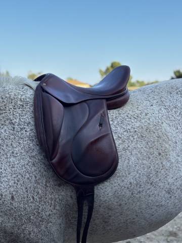 Sella da dressage Belloir Saumur 17.5" - 2018