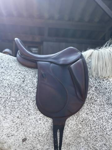Sella da dressage Belloir Saumur 17.5" - 2018