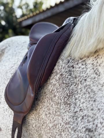 Sella da dressage Belloir Saumur 17.5" - 2018