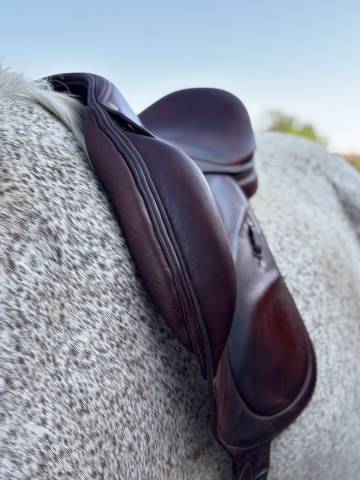 Sella da dressage Belloir Saumur 17.5" - 2018