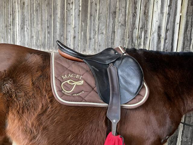 Sella da salto ostacoli Macel  18" - 2010