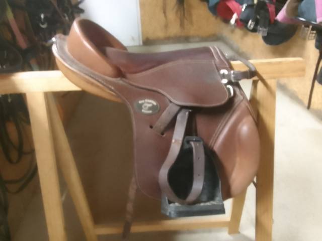 Bareback  Guy Quentin  15.5" - 2023