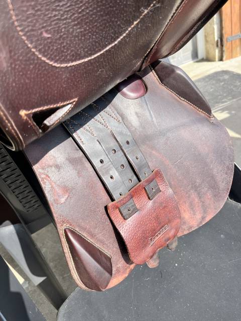 Sella mista Darroze Mixte/CSO 17" - 2012