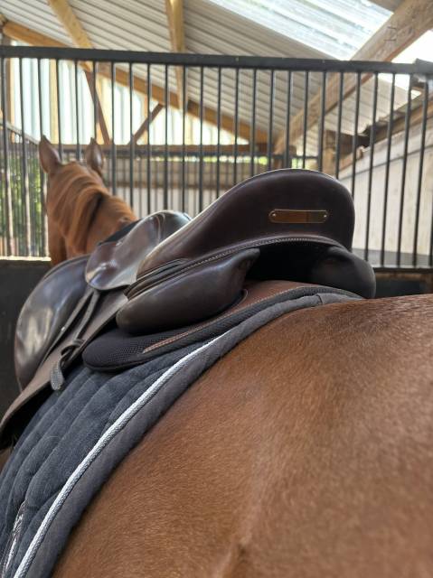 Sella mista Forestier  17.5" - 2020