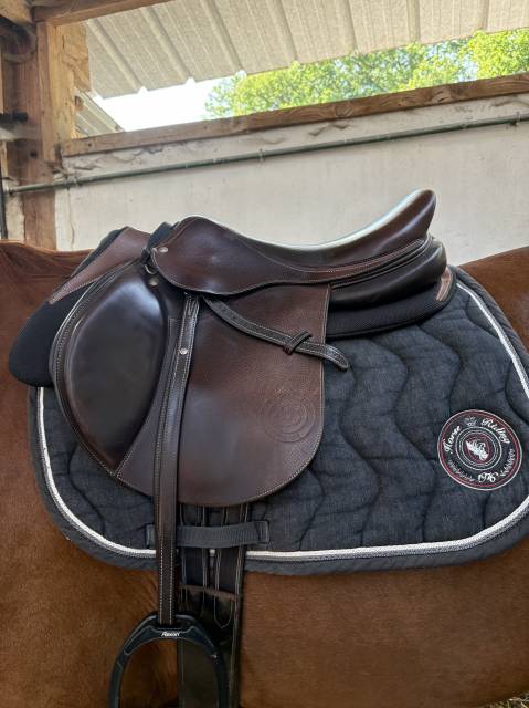 Sella mista Forestier  17.5" - 2020