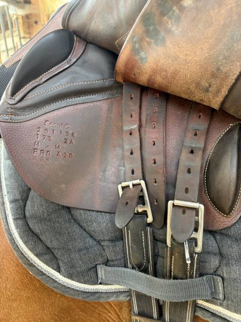 Sella mista Forestier  17.5" - 2020