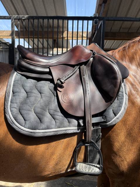 Sella mista Forestier  17.5" - 2020