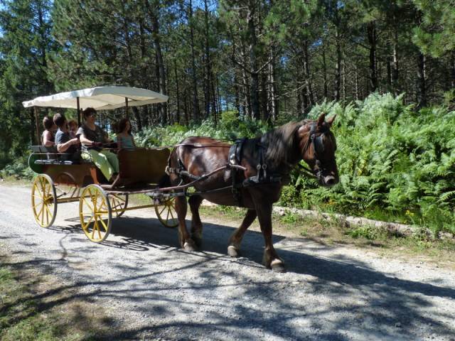 Attacchi - Wagonnette Berrard  