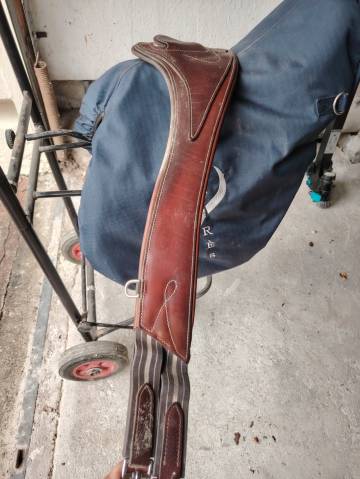 Sella da salto ostacoli Antarès  17" - 2022