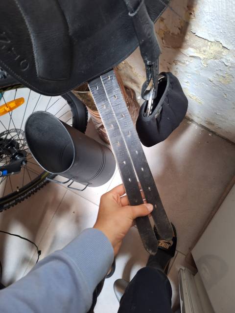 Sella da dressage Ikonic  17.5" - 2024