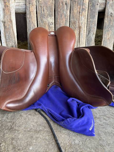 Sella da salto ostacoli Bates  17" - 2017