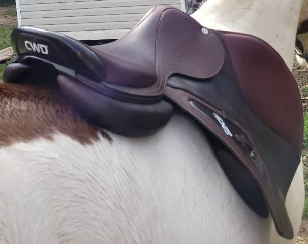 Sella da salto ostacoli CWD  17.5" - 2018