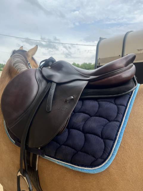 Sella mista CWD  17.5" - 2015