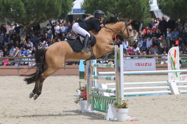 Castrone PFS Pony Francese da Sella In vendita 2012 Isabella