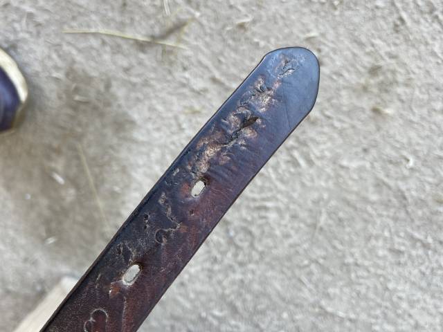 Altra sella Prestige Italia Atena 18" - 2016