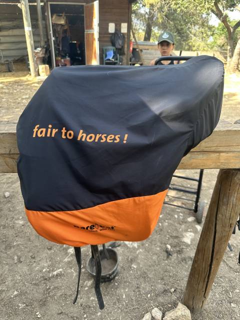 Sella da dressage Barefoot   17.5" - 2023