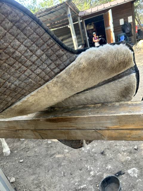 Sella da dressage Barefoot   17.5" - 2023