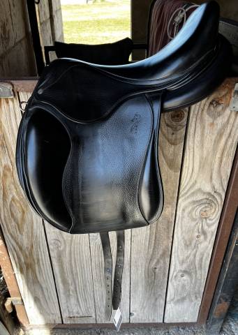 Sella da endurance Antarès  18" - 2018