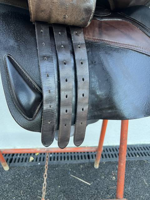 Sella da salto ostacoli Ikonic  17.5" - 2019