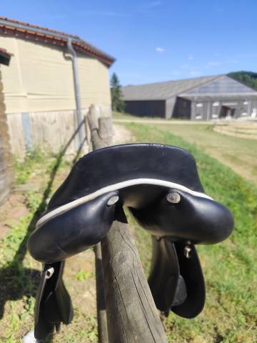 Sella da salto ostacoli GBS  17" - 2021