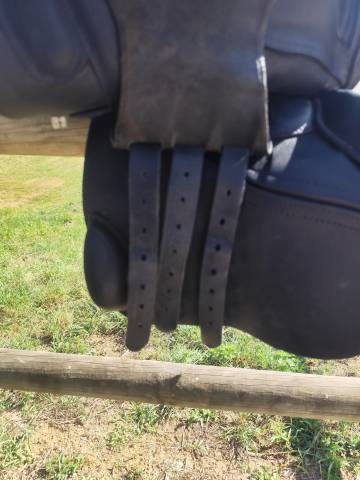 Sella da salto ostacoli GBS  17" - 2021