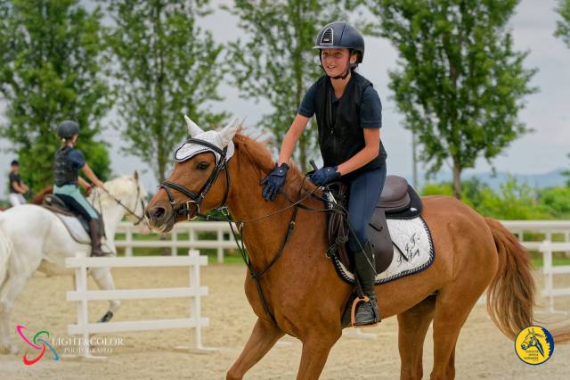 Vendo PONY 